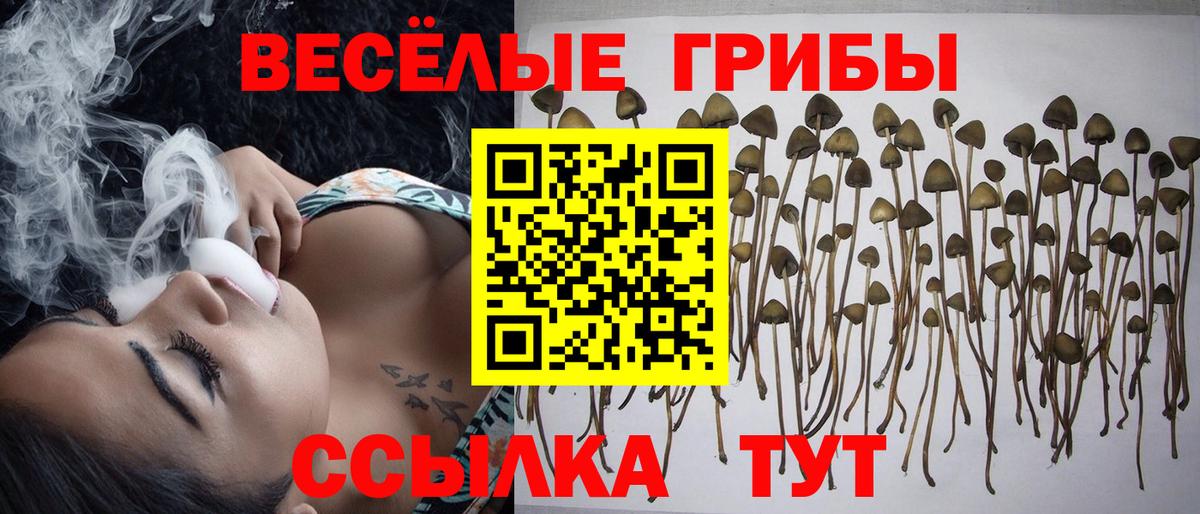 Галлюциногенные грибы MAGIC MUSHROOMS Белая Калитва
