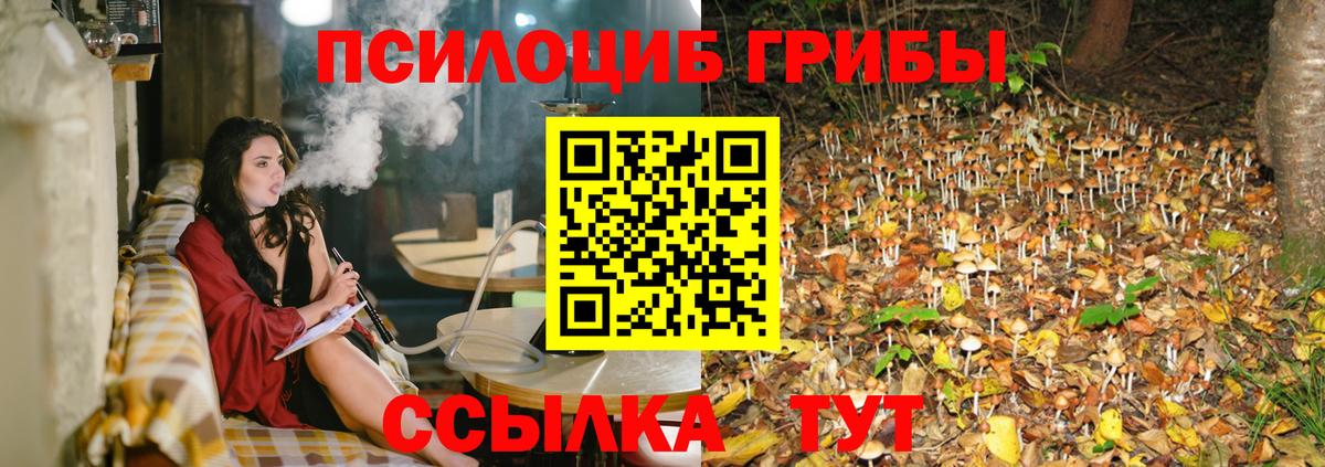 Белая Калитва  Псилоцибиновые грибы ЛСД  Вход с VPN  Галлюциногенные грибы Psilocybe 